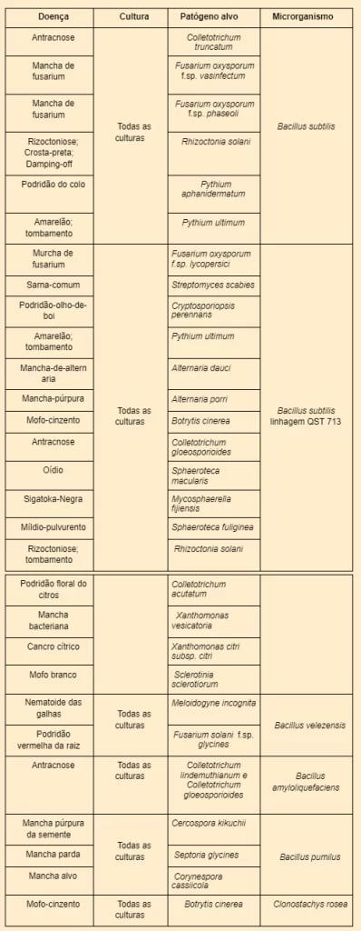Manejo Integrado de Doenças é essencial para sucesso da lavoura 