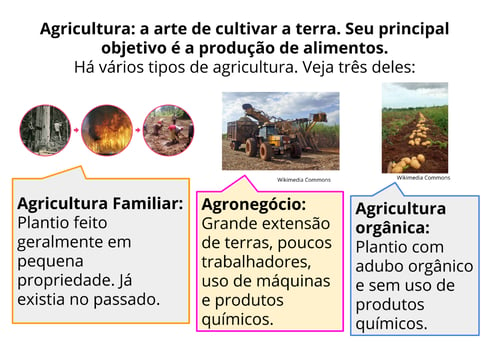 C:\Users\Bruno\Downloads\Tipos de agricultura_3.png