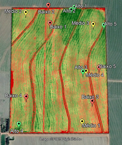 Figura 2 – Pontos de amostragem de altura de plantas e quantidade de nós de acordo com o nível de índice vegetativo.