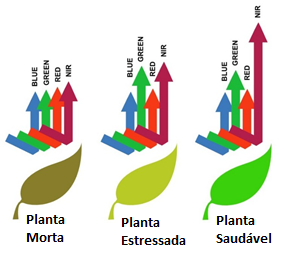 Nível de reflexão de bandas dependendo do estado da vegetação.