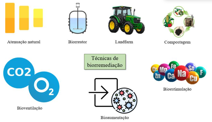 Técnicas de Biorremediação

