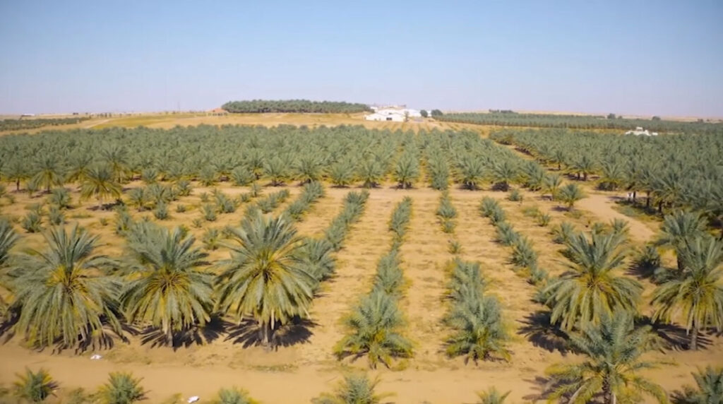 Plantio em regiões extremas