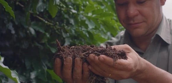 Fertilizantes organominerais