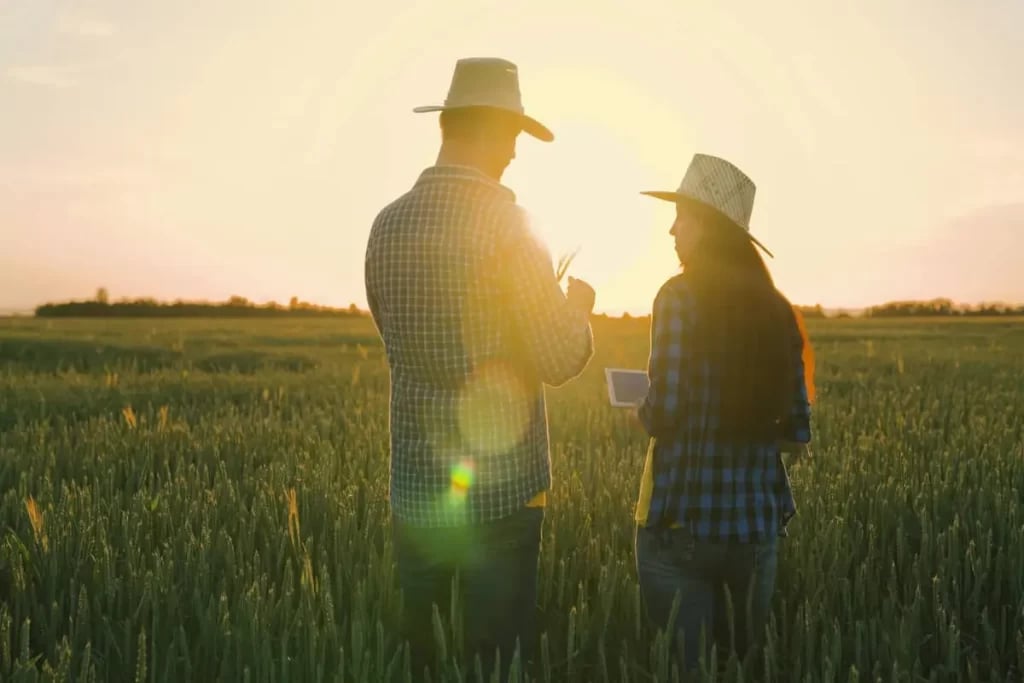 holding rural no agronegocio 