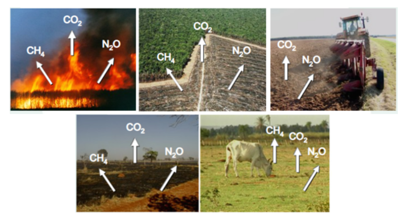 Agricultura de baixo carbono

