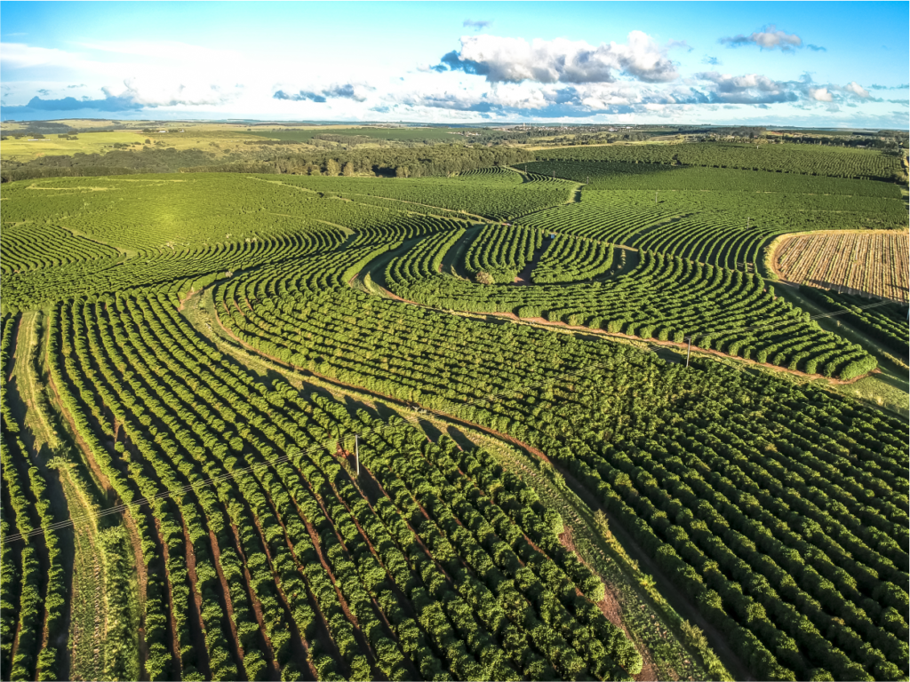 unidades de medidas agrárias