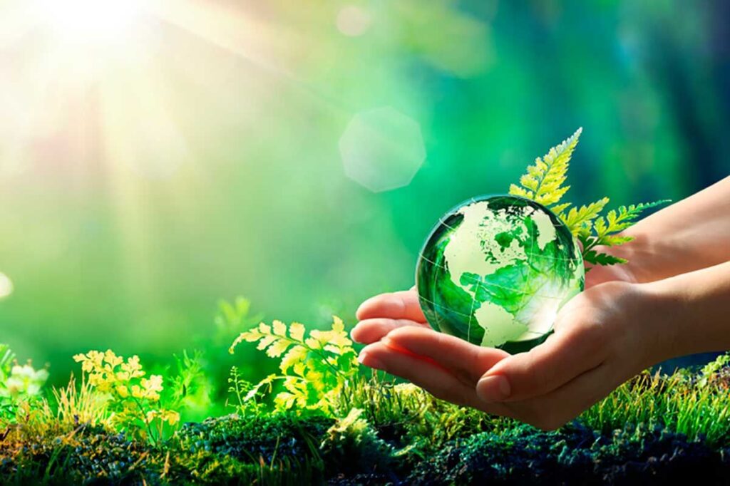 Agricultura de baixo carbono
