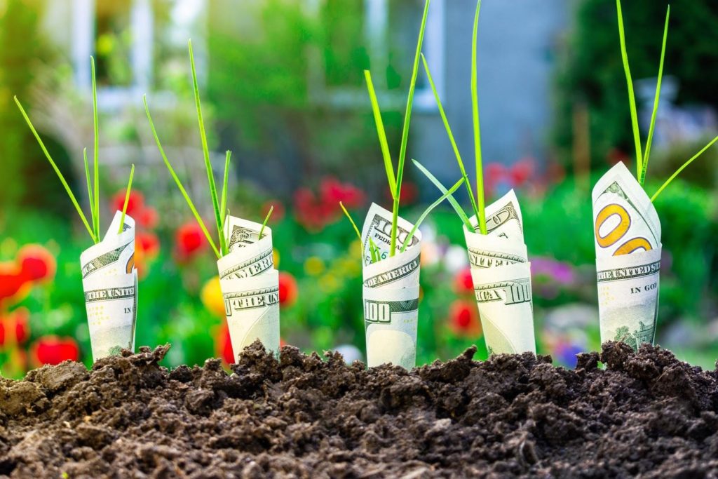 O crescimento do preço dos fertilizantes impacta o bolso do produtor