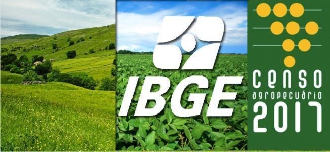 Censo Agropecuário brasileiro: Mostrando o perfil do produtor brasileiro.