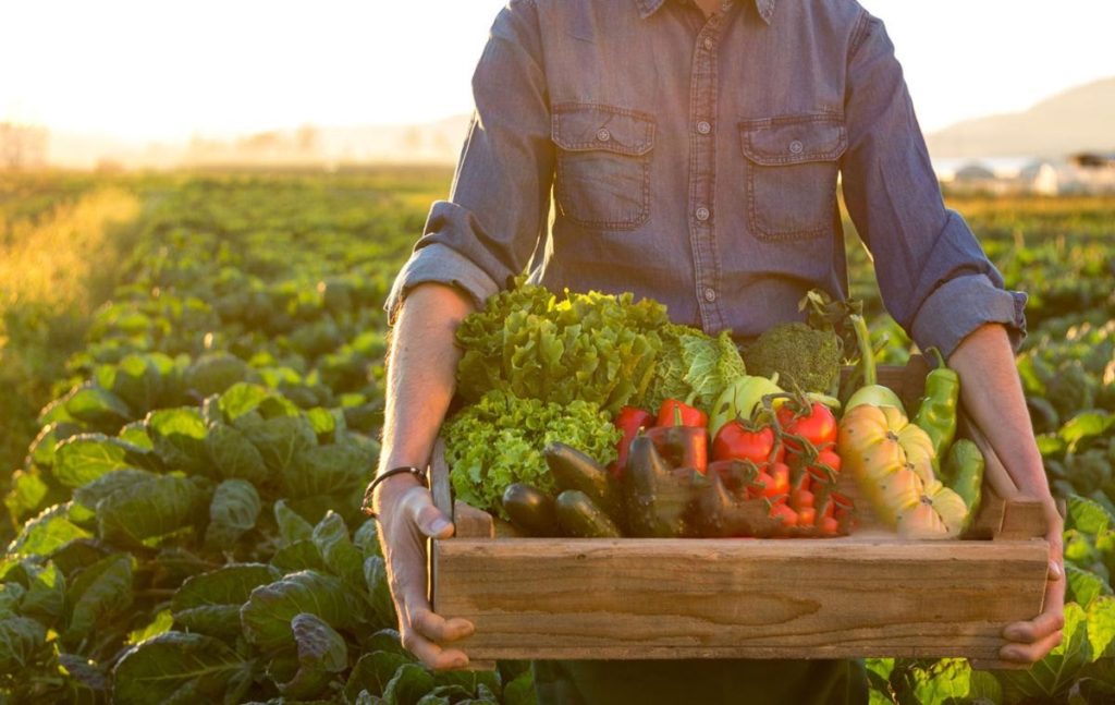 A agricultura brasileira pode ser a grande beneficiada da popularização do mercado de carbono – Fonte: Bauer