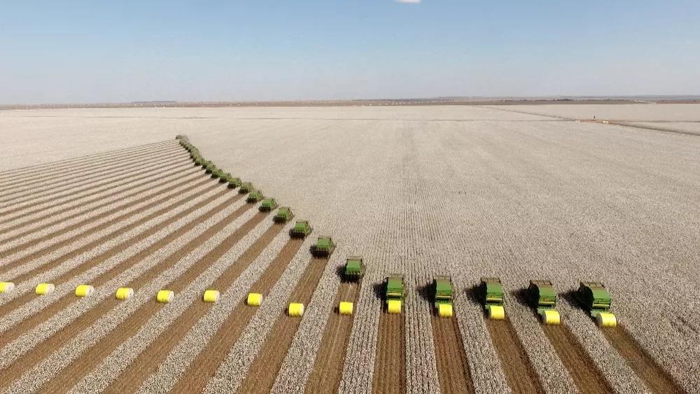 Colhedoras de Algodão