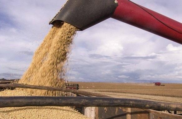 processo de escoamento de grãos 