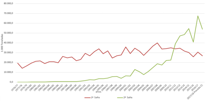 Grafico de produtividade do milho