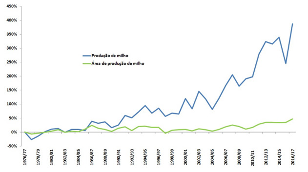 Evolução da produtividade do milho