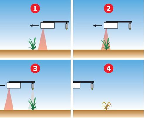 Sistema de Pulverização no WEED-IT. 