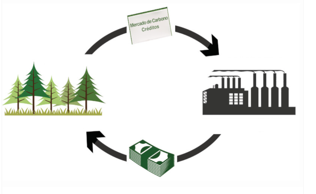 Créditos de Carbono