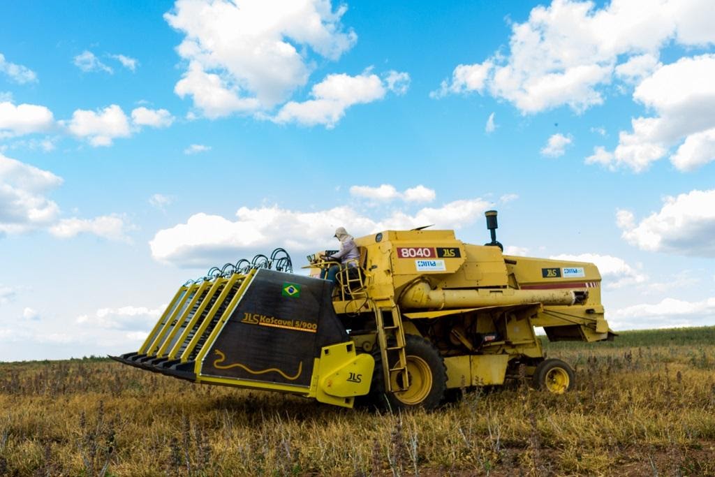 Equipamento de colheita de mamona.