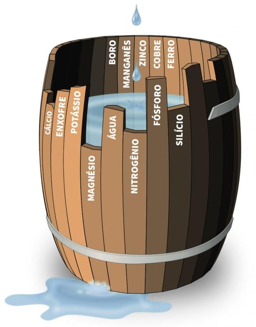Representação da Lei do mínimo