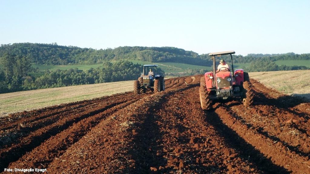 Plantio e a colheita