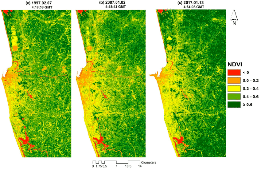 Índice de Vegetação NDVI em um talhão evidenciando a variabilidade espacial. Fonte: International Journal of Geo-Information. 2017. DOI: 10.3390/ijgi6070189