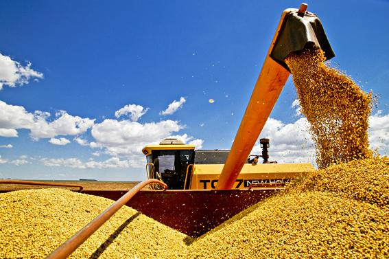 produção de grãos