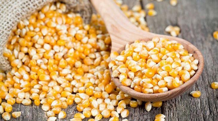 grãos de milho