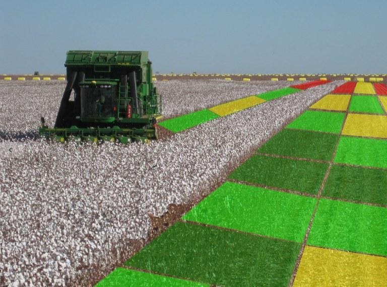 epresentação de uma mapa de produtividade, uma das ferramentas disponíveis na agricultura de precisão.