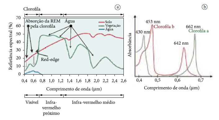 grafico de  tomada de decisão