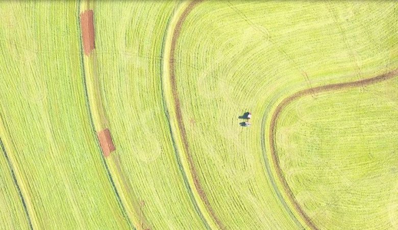 Plantio e a colheita