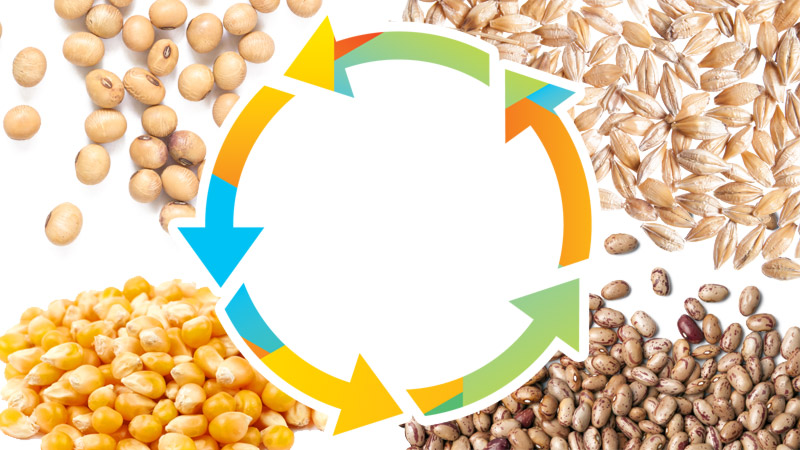 imagem ilustrando a rotação de cultura