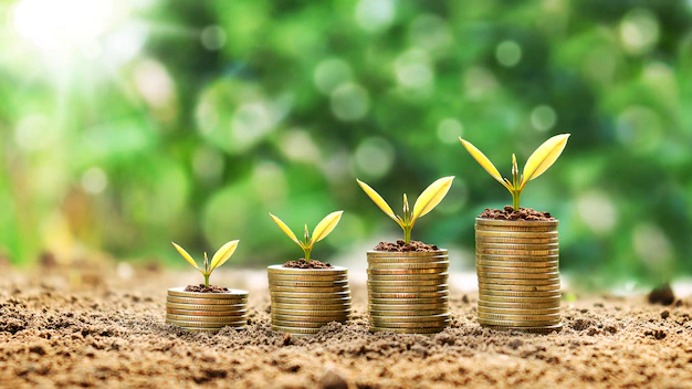 Consumo e produção responsáveis