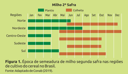 Épocas de plantio e colheita da safrinha. Fonte: Conab - Embrapa