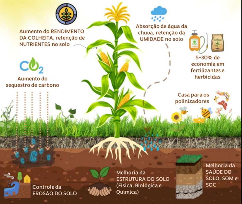 Bayer agricultura regenerativa