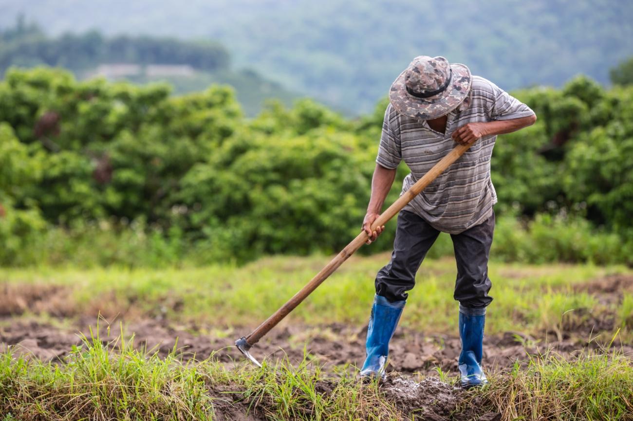 Agricultura