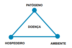 Ciclo de doenças da podridão radicular